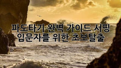 파도타기 완벽 가이드: 서핑 입문자를 위한 초보탈출