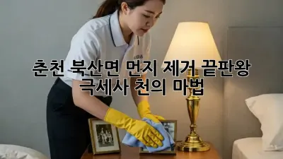 춘천 북산면 먼지 제거 끝판왕: 극세사 천의 마법