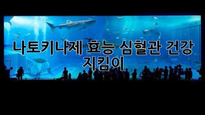 나토키나제 효능: 심혈관 건강 지킴이